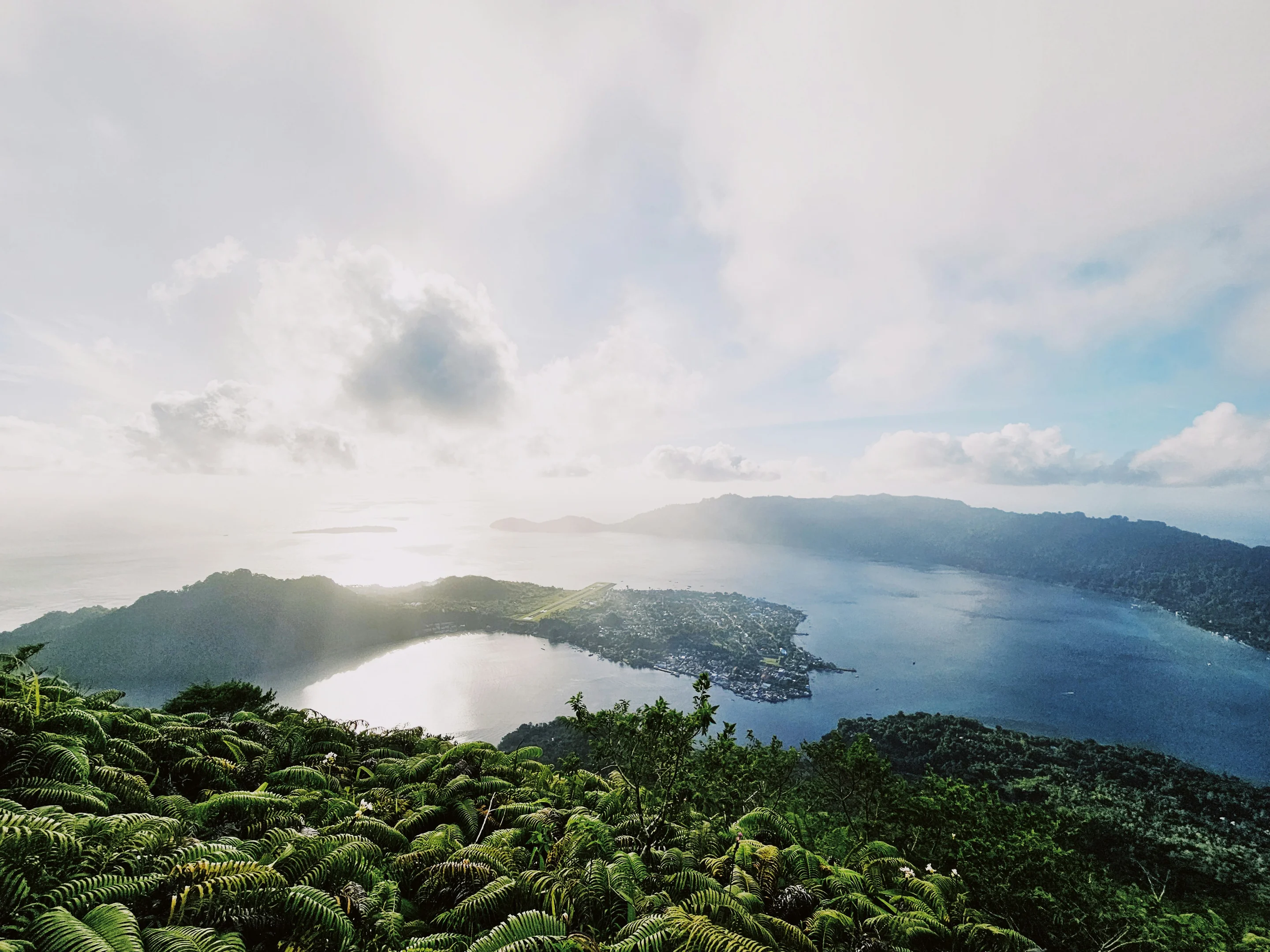 Lush ferns overlooking Banda Neira, with soft light across the sea and surrounding islands.